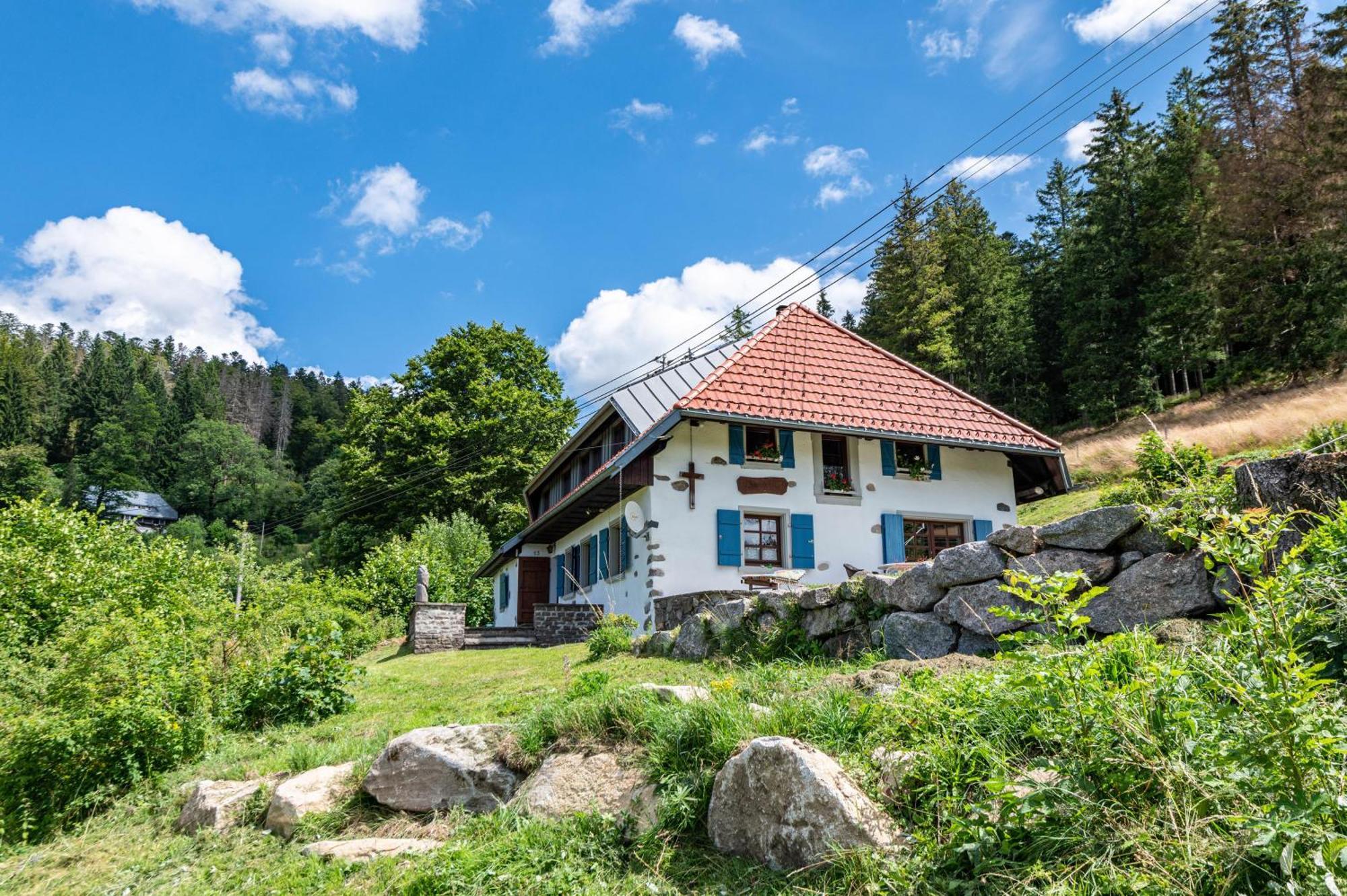 Вілла Ferien Alm Alfret Herrischried Екстер'єр фото